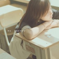 word官方正式版安装下载电脑版免费
